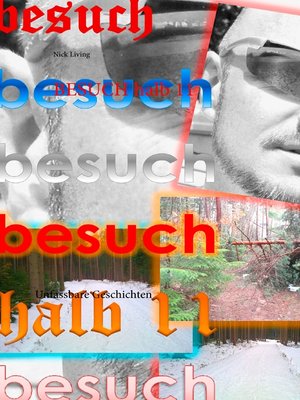 cover image of Besuch halb 11
